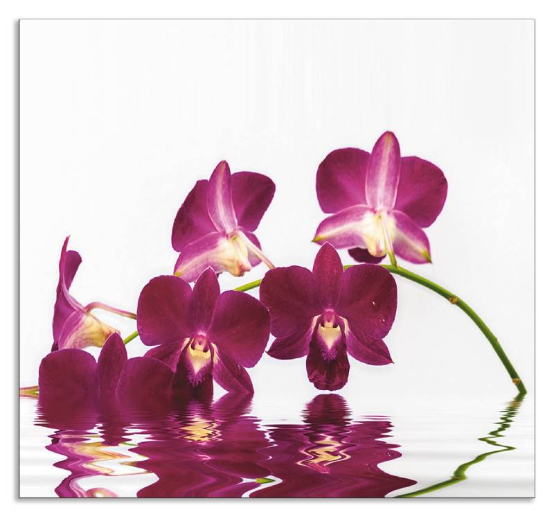 Artland Küchenrückwand »Phalaenopsis Orchidee«, (1 tlg.), Alu Spritzschutz mit Klebeband, einfache Montage von Artland