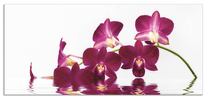 Artland Küchenrückwand »Phalaenopsis Orchidee«, (1 tlg.), Alu Spritzschutz mit Klebeband, einfache Montage von Artland