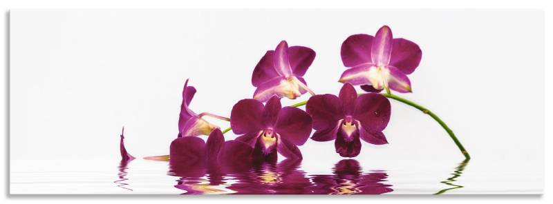 Artland Küchenrückwand »Phalaenopsis Orchidee«, (1 tlg.), Alu Spritzschutz mit Klebeband, einfache Montage von Artland
