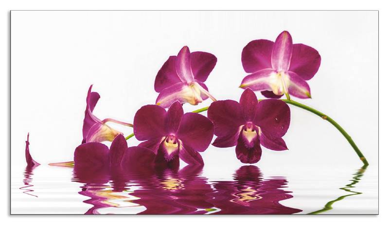 Artland Küchenrückwand »Phalaenopsis Orchidee«, (1 tlg.) von Artland