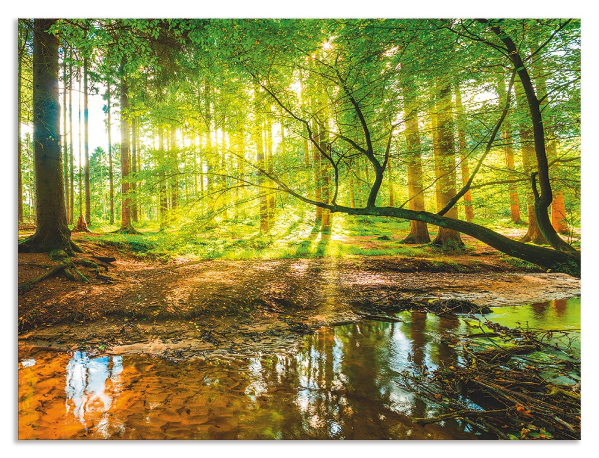 Artland Küchenrückwand »Wald mit Bach«, (1 tlg.), Alu Spritzschutz mit Klebeband, einfache Montage Artland Küchenrückwand »Wald mit Bach«, (1 tlg.), Alu Spritzschutz mit Klebeband, einfache Montage von Artland