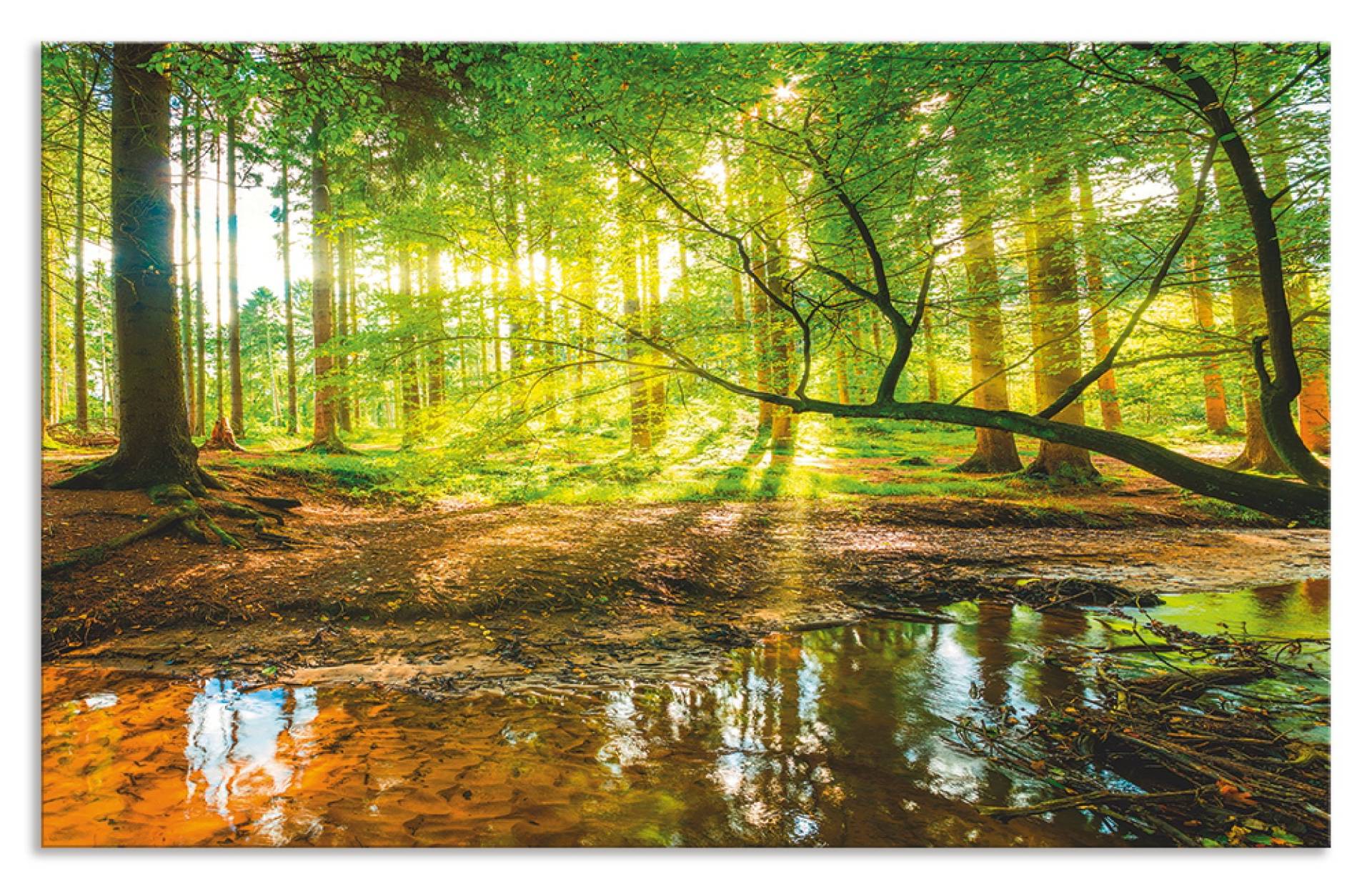 Artland Küchenrückwand »Wald mit Bach«, (1 tlg.), Alu Spritzschutz mit Klebeband, einfache Montage von Artland