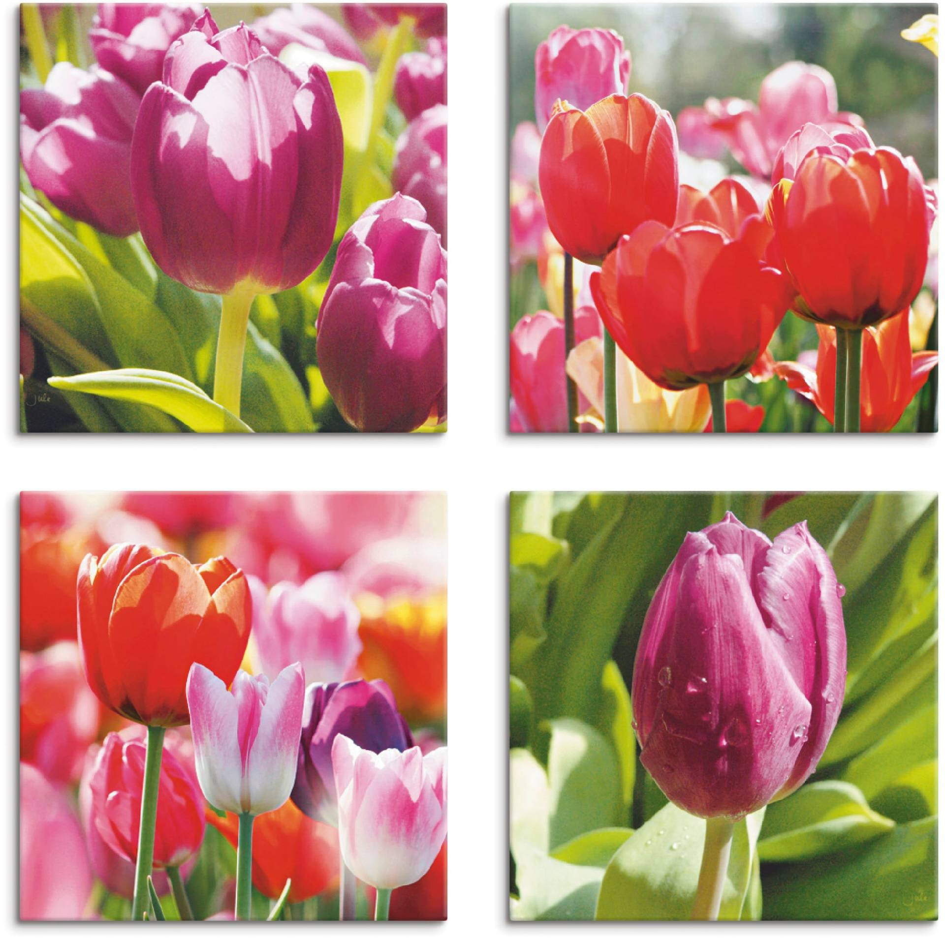 Artland Leinwandbild »Frühling und Tulpen«, Blumen, (4 St.) von Artland