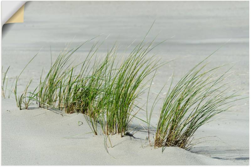 Artland Leinwandbild »Gräser am Strand«, Strandbilder, (1 St.), auf Keilrahmen gespannt von Artland