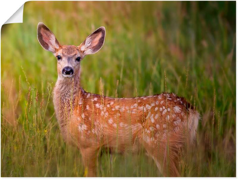 Artland Leinwandbild »Hirsch Beobachtung IV«, Wildtiere, (1 St.), auf Keilrahmen gespannt von Artland