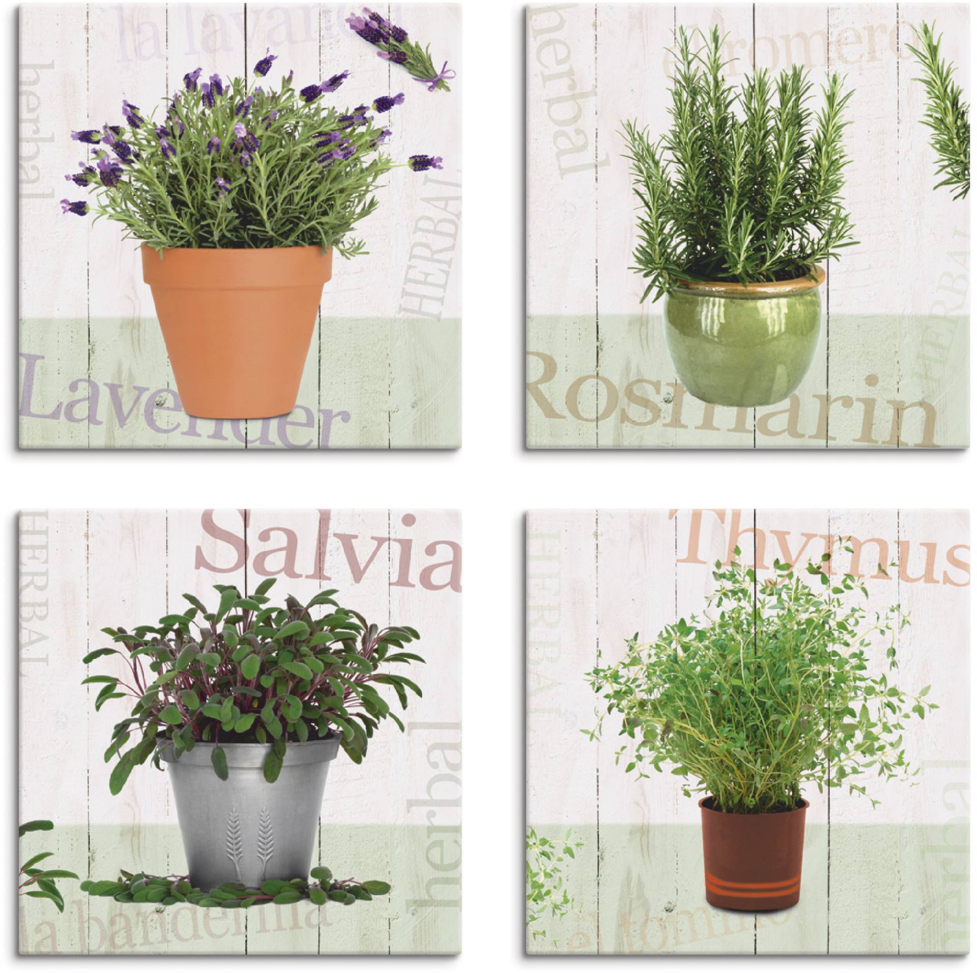 Artland Leinwandbild »Lavendel, Rosmarin, Salbei, Thymian«, Pflanzen, (4 St.), 4er Set, verschiedene Grössen Artland Leinwandbild »Lavendel, Rosmarin, Salbei, Thymian«, Pflanzen, (4 St.), 4er Set, verschiedene Grössen von Artland