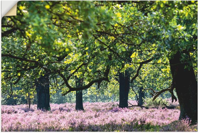 Artland Leinwandbild »Lüneburger Heide«, Wiesen & Baumbilder, (1 St.), auf Keilrahmen gespannt von Artland