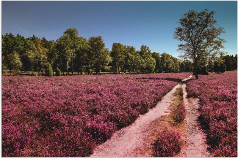 Artland Leinwandbild »Lüneburger Heide Romantik«, Blumenwiese, (1 St.), auf Keilrahmen gespannt von Artland