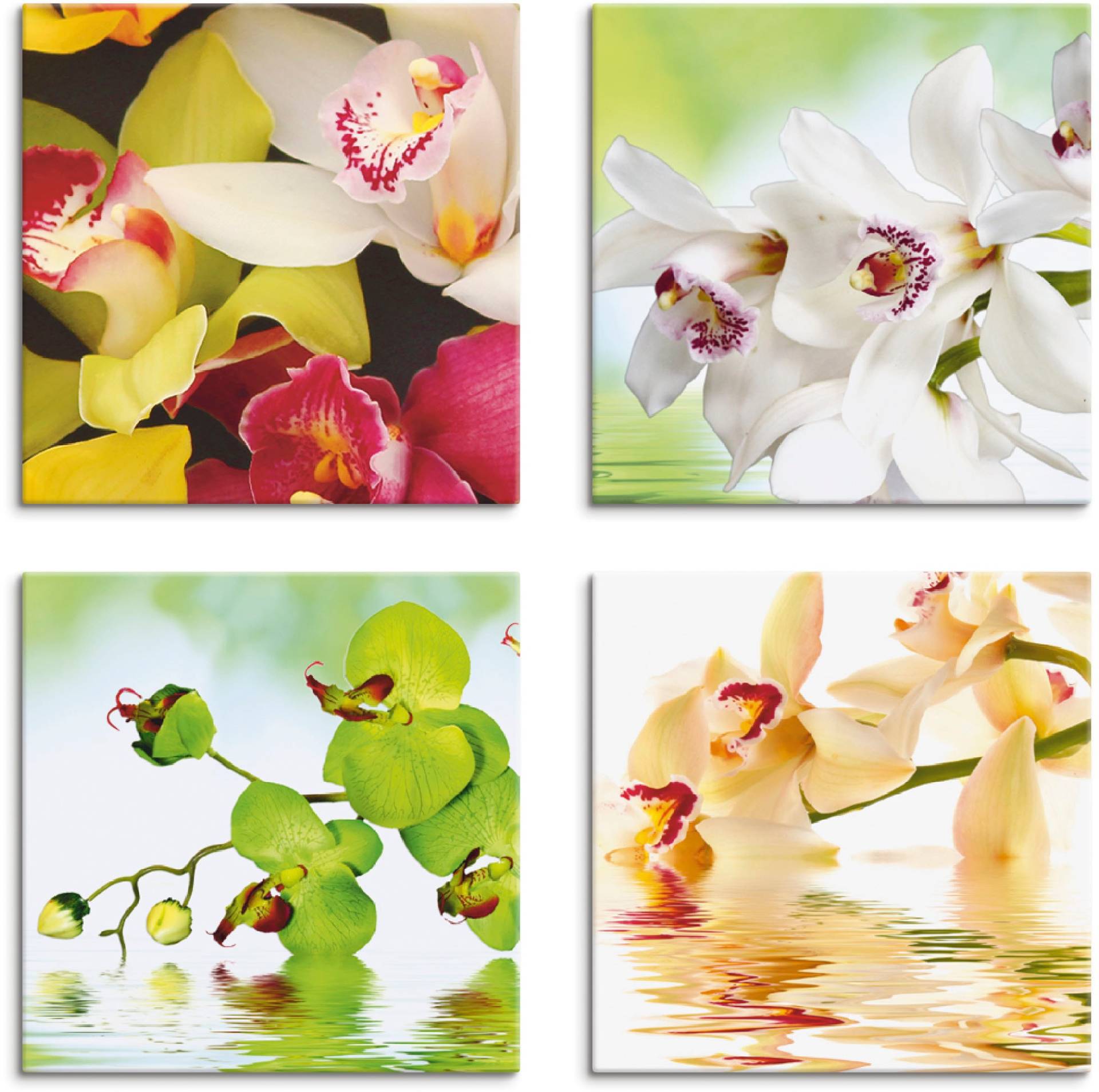 Artland Leinwandbild »Orchideen Blumen«, Blumen, (4 St.), 4er Set, verschiedene Grössen Artland Leinwandbild »Orchideen Blumen«, Blumen, (4 St.), 4er Set, verschiedene Grössen von Artland