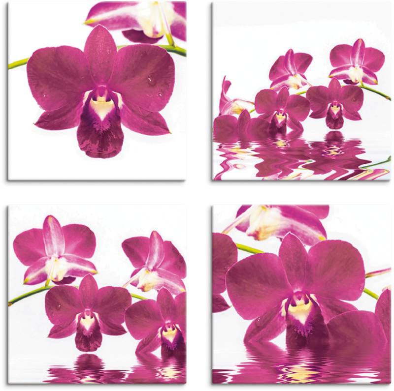 Artland Leinwandbild »Phalaenopsis Orchidee«, Blumen, (4 St.) von Artland