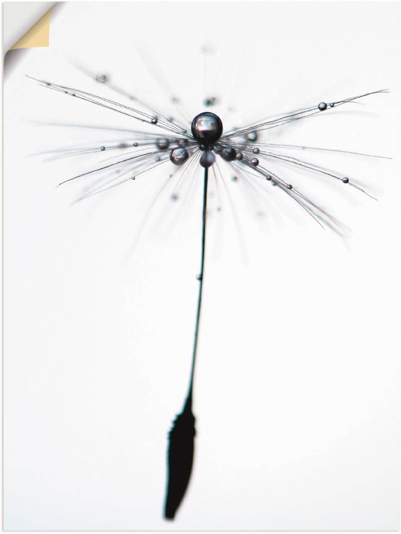 Artland Leinwandbild »Pusteblume Alone«, Blumen, (1 St.), auf Keilrahmen gespannt von Artland