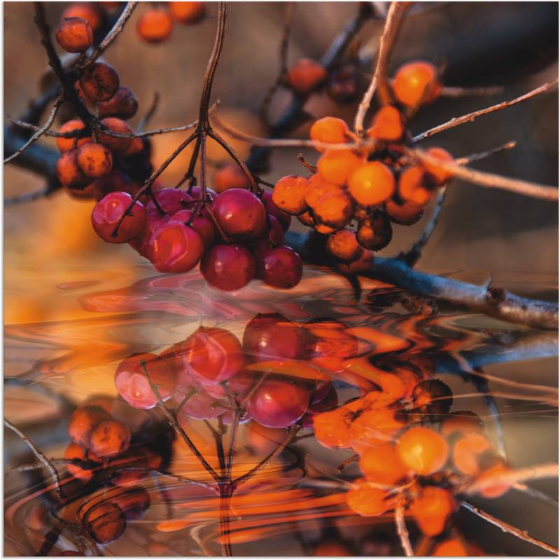 Artland Leinwandbild »Rote Beeren - Wildbeeren«, Pflanzen, (1 St.), auf Keilrahmen gespannt von Artland