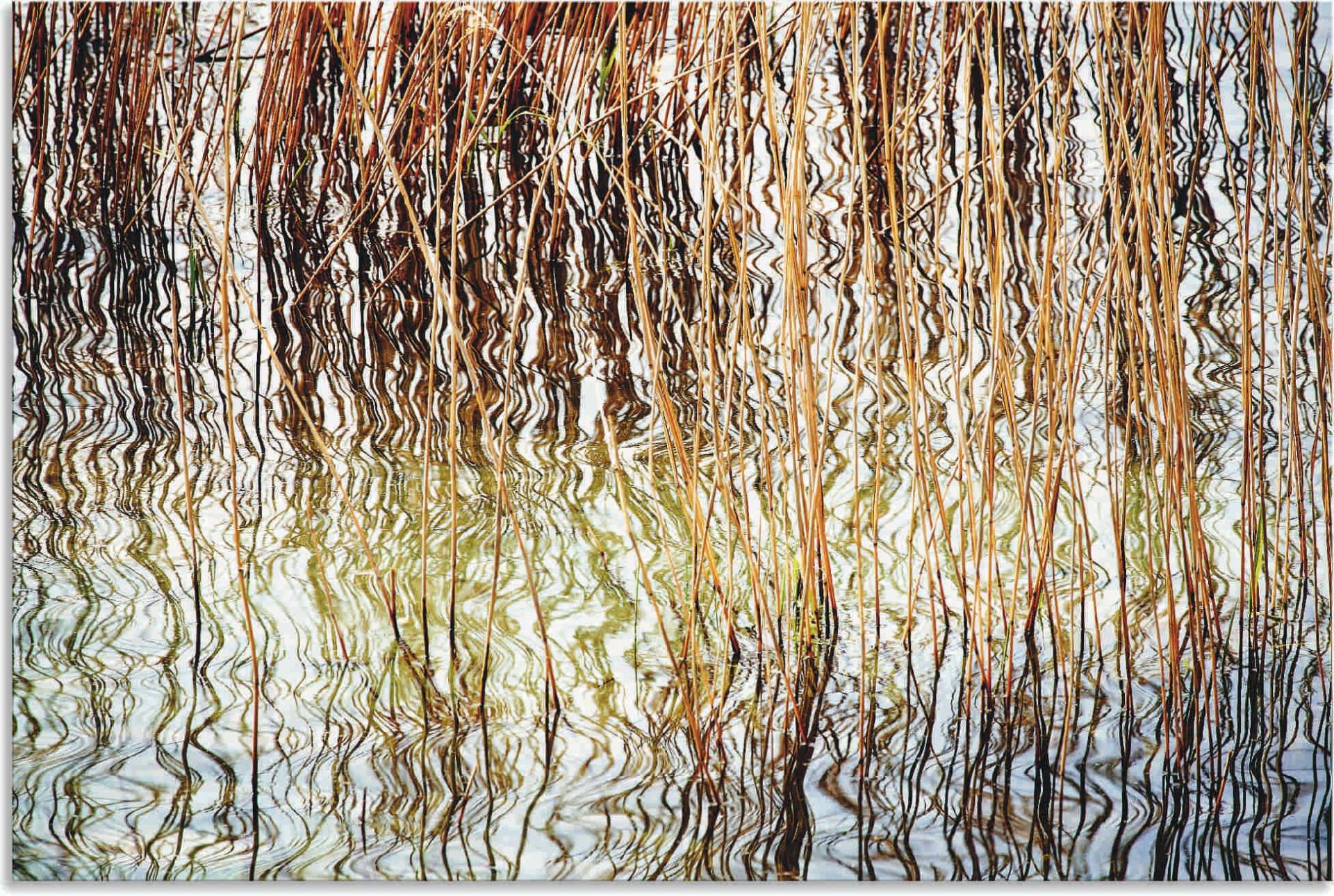 Artland Leinwandbild »Schilfrohr«, Gräser, (1 St.), auf Keilrahmen gespannt von Artland