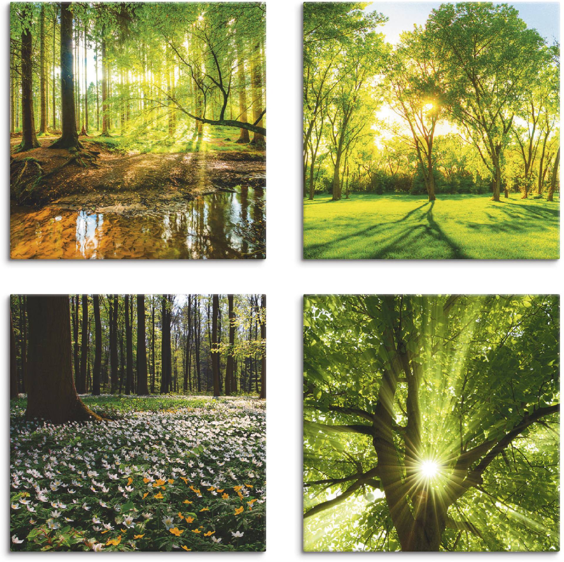 Artland Leinwandbild »Wald Bach Frühling Windrosen Sonne Baum«, Wald, (4 St.) von Artland
