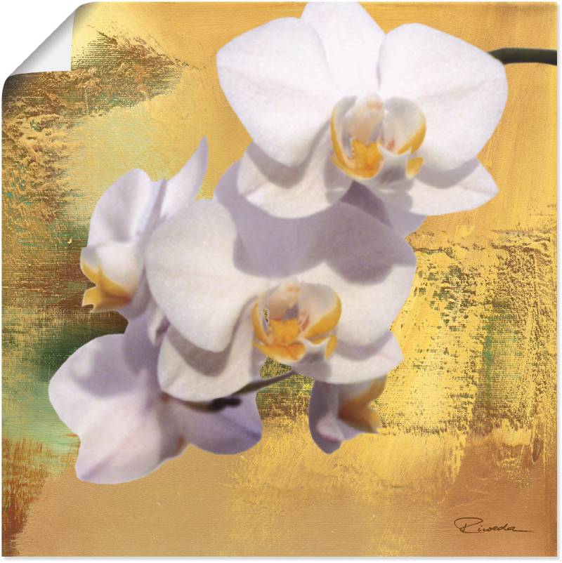 Artland Leinwandbild »Weisse Orchidee II«, Blumen, (1 St.), auf Keilrahmen gespannt von Artland