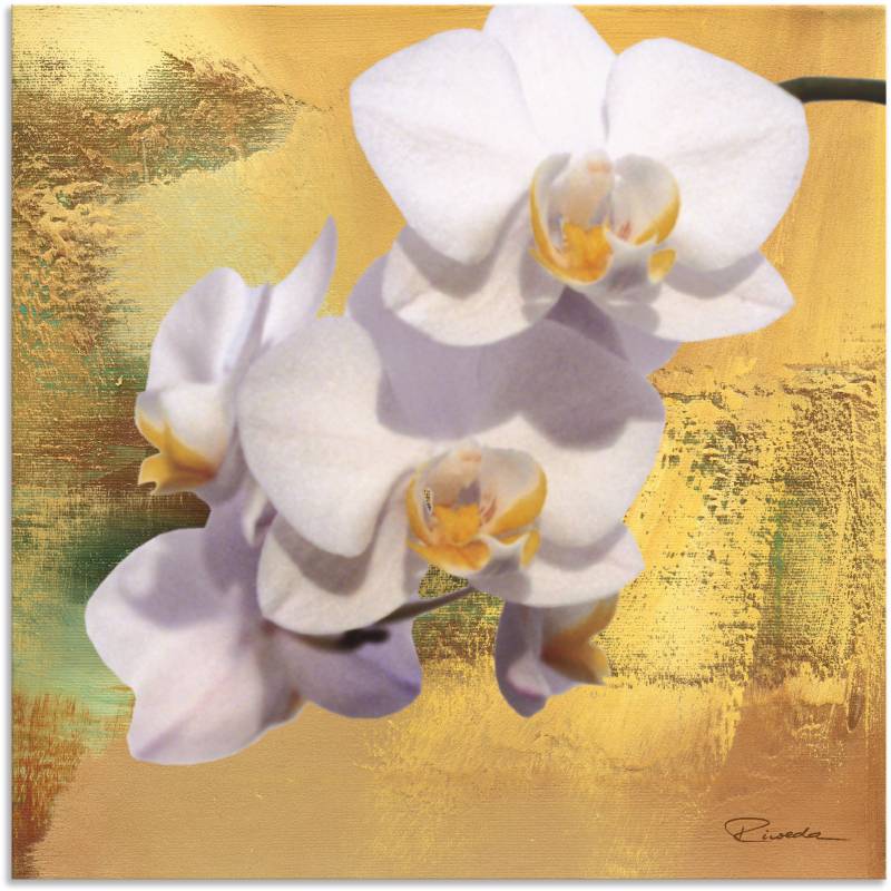 Artland Leinwandbild »Weisse Orchidee II«, Blumen, (1 St.), auf Keilrahmen gespannt von Artland