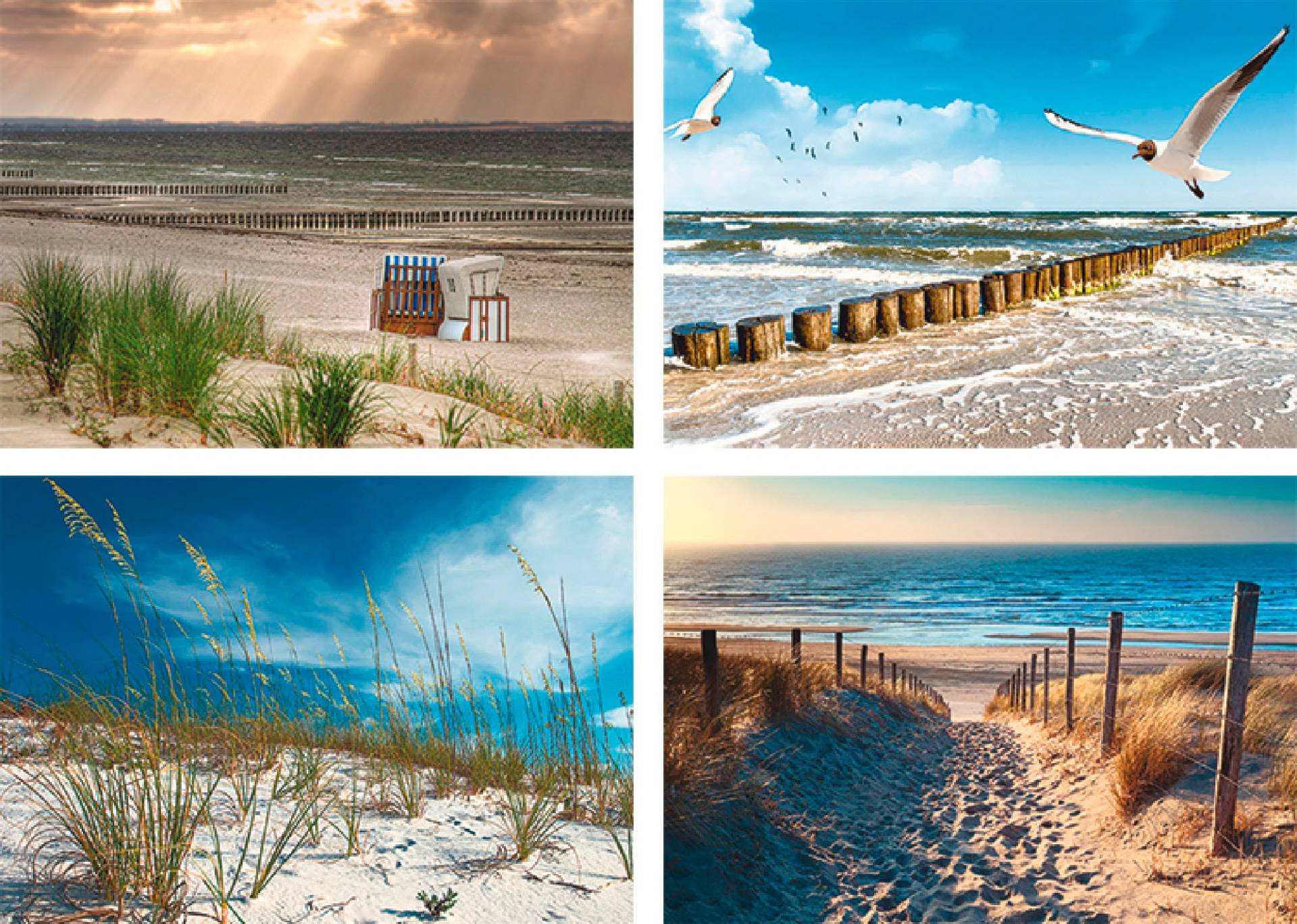 Artland Poster »Einsamer Strand Ostsee Sanddüne Gräser«, Strand, (4 St.) von Artland