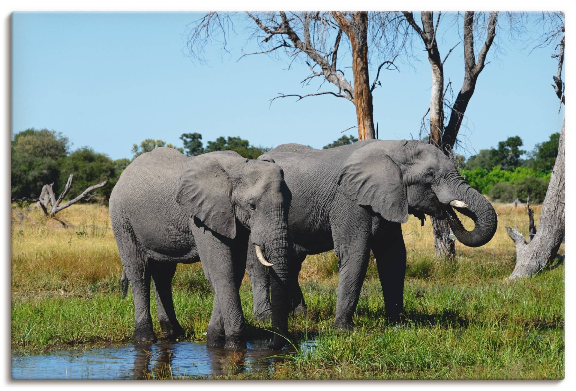 Artland Wandbild »Afrikanische Elefanten«, Wildtiere, (1 St.), als Leinwandbild, Poster in verschied. Grössen von Artland