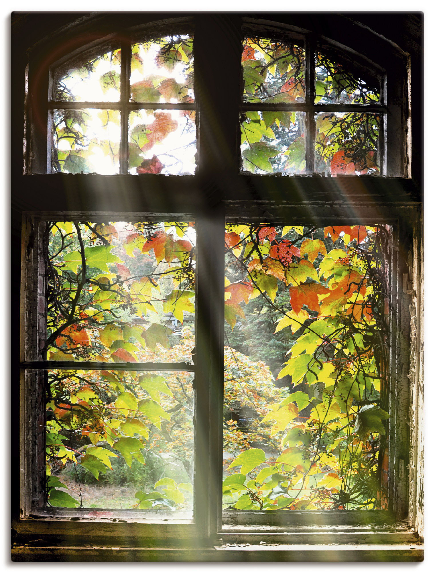 Artland Wandbild »Altbau«, Fenster & Türen, (1 St.), als Alubild, Outdoorbild, Leinwandbild, Poster, Wandaufkleber Artland Wandbild »Altbau«, Fenster & Türen, (1 St.), als Alubild, Outdoorbild, Leinwandbild, Poster, Wandaufkleber von Artland