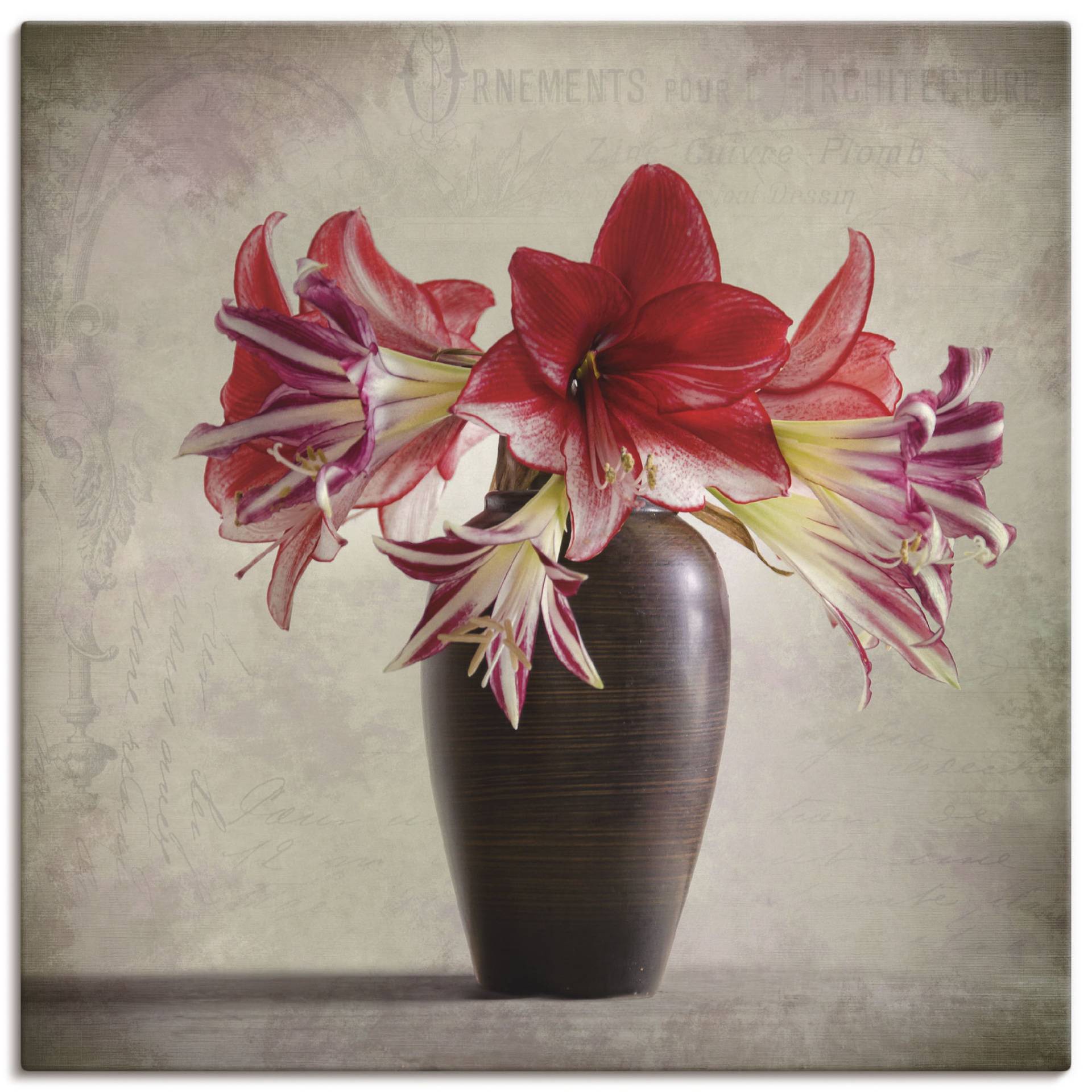 Artland Wandbild »Amaryllis Vintage II«, Blumen, (1 St.), als Alubild, Outdoorbild, Leinwandbild in verschied. Grössen von Artland