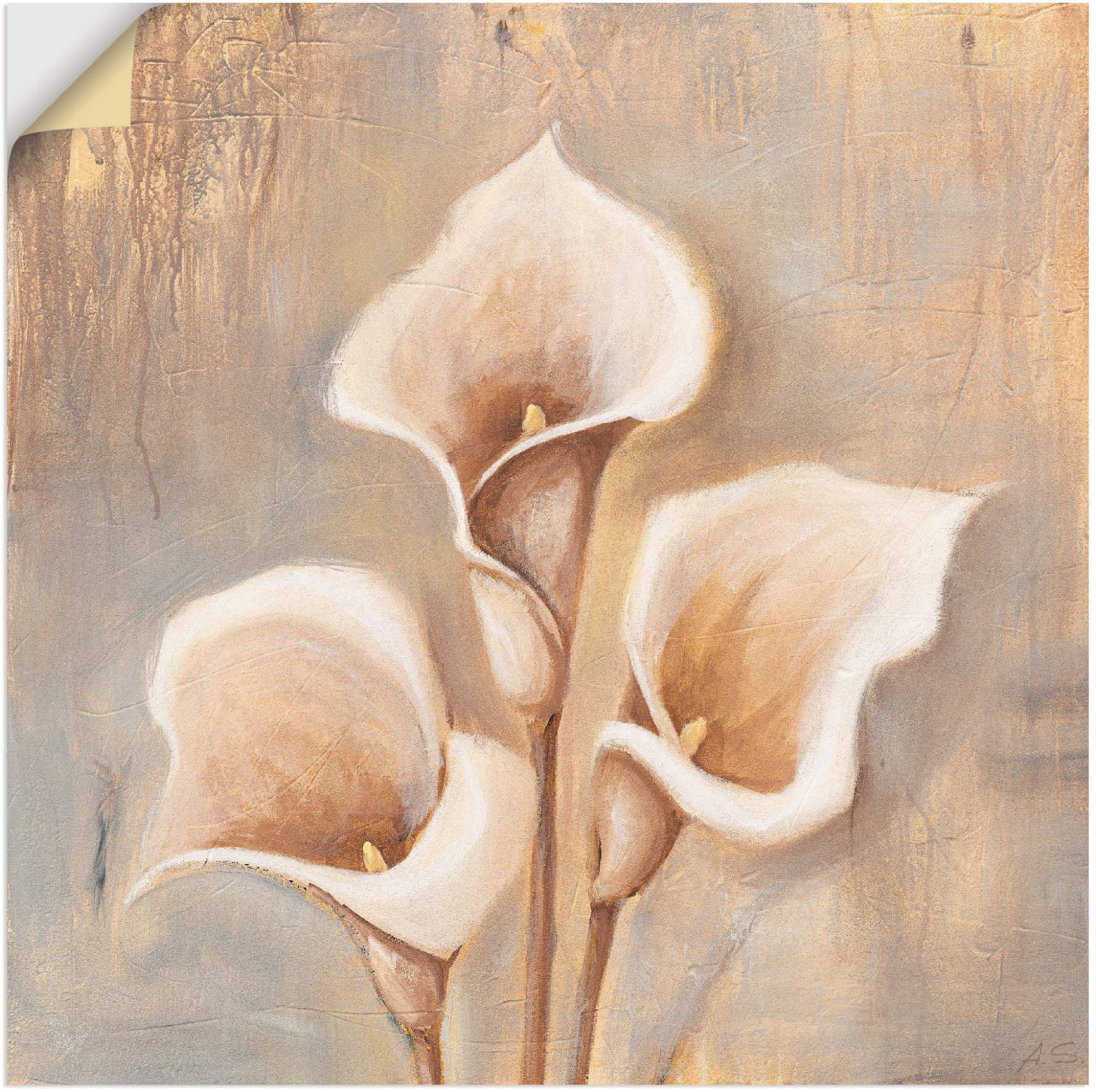 Artland Wandbild »Antike Blüten«, Blumen, (1 St.), als Alubild, Outdoorbild, Leinwandbild, Poster, Wandaufkleber von Artland