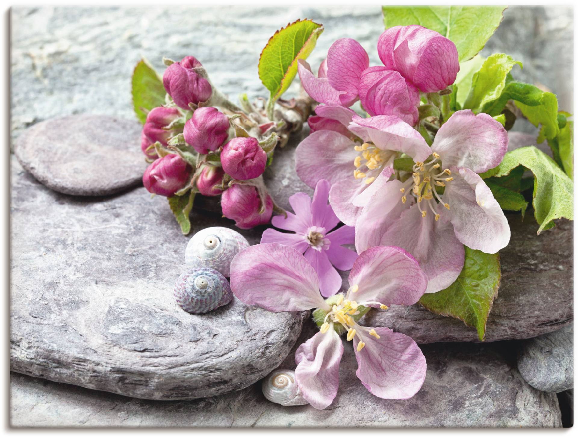 Artland Wandbild »Apfelblüten«, Blumen, (1 St.), als Leinwandbild, Poster, Wandaufkleber in verschied. Grössen Artland Wandbild »Apfelblüten«, Blumen, (1 St.), als Leinwandbild, Poster, Wandaufkleber in verschied. Grössen von Artland
