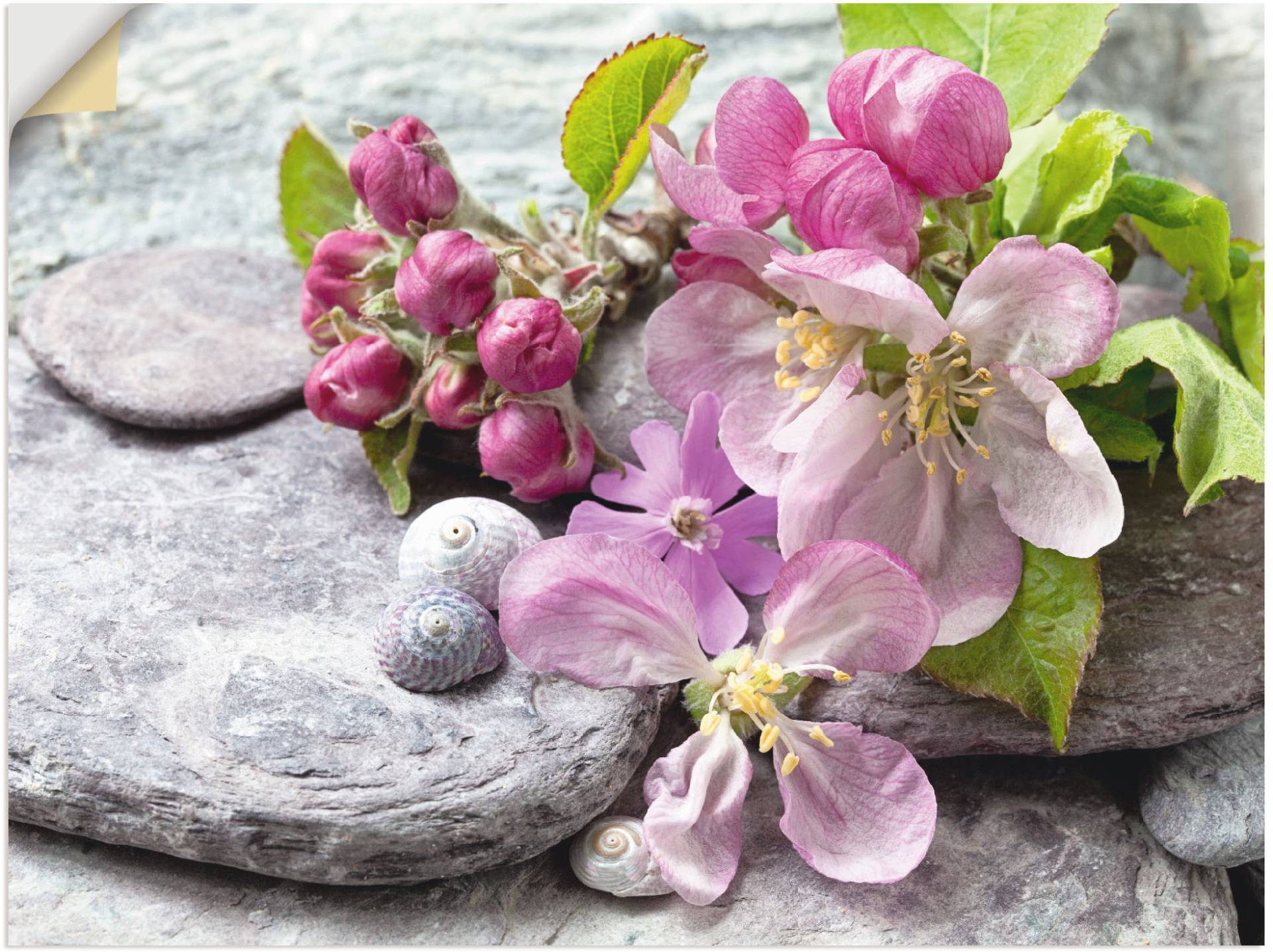 Artland Wandbild »Apfelblüten«, Blumen, (1 St.), als Leinwandbild, Poster, Wandaufkleber in verschied. Grössen Artland Wandbild »Apfelblüten«, Blumen, (1 St.), als Leinwandbild, Poster, Wandaufkleber in verschied. Grössen von Artland