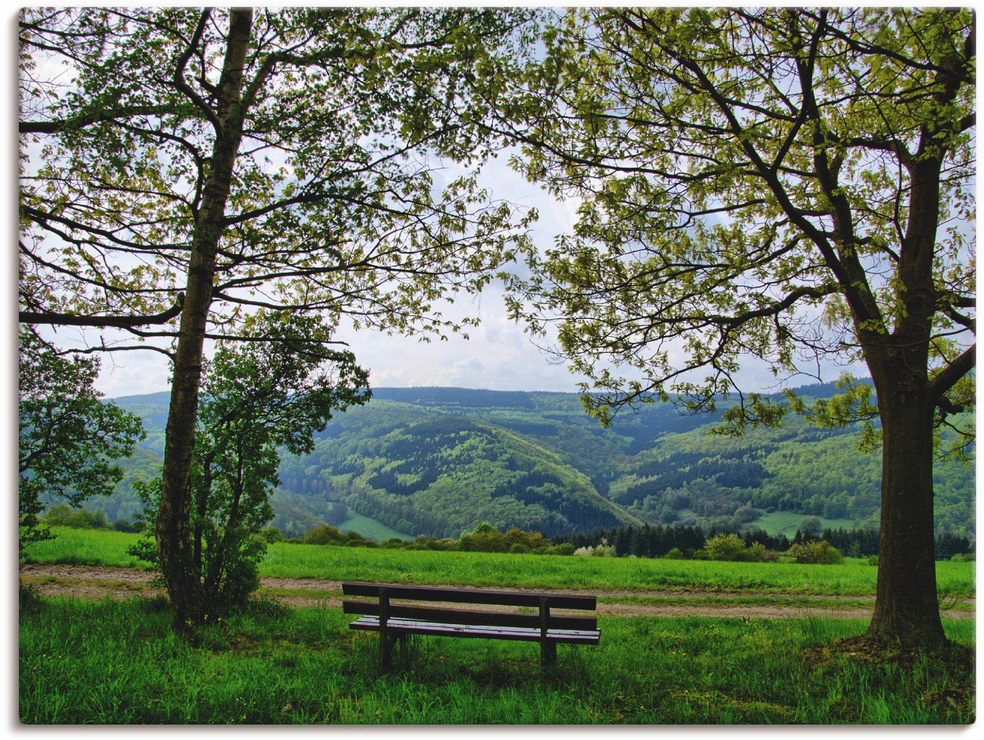Artland Leinwandbild »Ausblick in den Frühling«, Felder, (1 St.), auf Keilrahmen gespannt von Artland