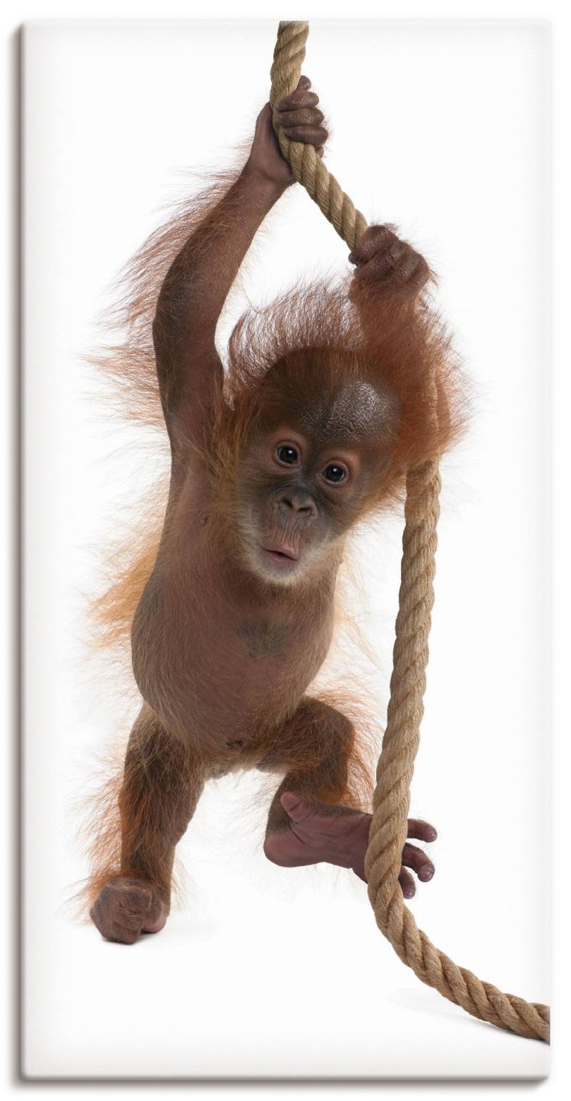 Artland Wandbild »Baby Orang Utan hängt am Seil I«, Wildtiere, (1 St.), als Alubild, Leinwandbild, Wandaufkleber oder Poster in versch. Grössen von Artland