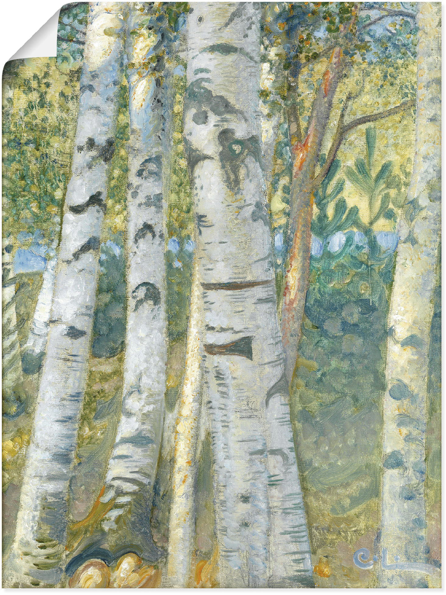 Artland Kunstdruck »Birkenstämme. 1910«, Bäume, (1 St.), als Leinwandbild, Wandaufkleber oder Poster in versch. Grössen Artland Kunstdruck »Birkenstämme. 1910«, Bäume, (1 St.), als Leinwandbild, Wandaufkleber oder Poster in versch. Grössen von Artland