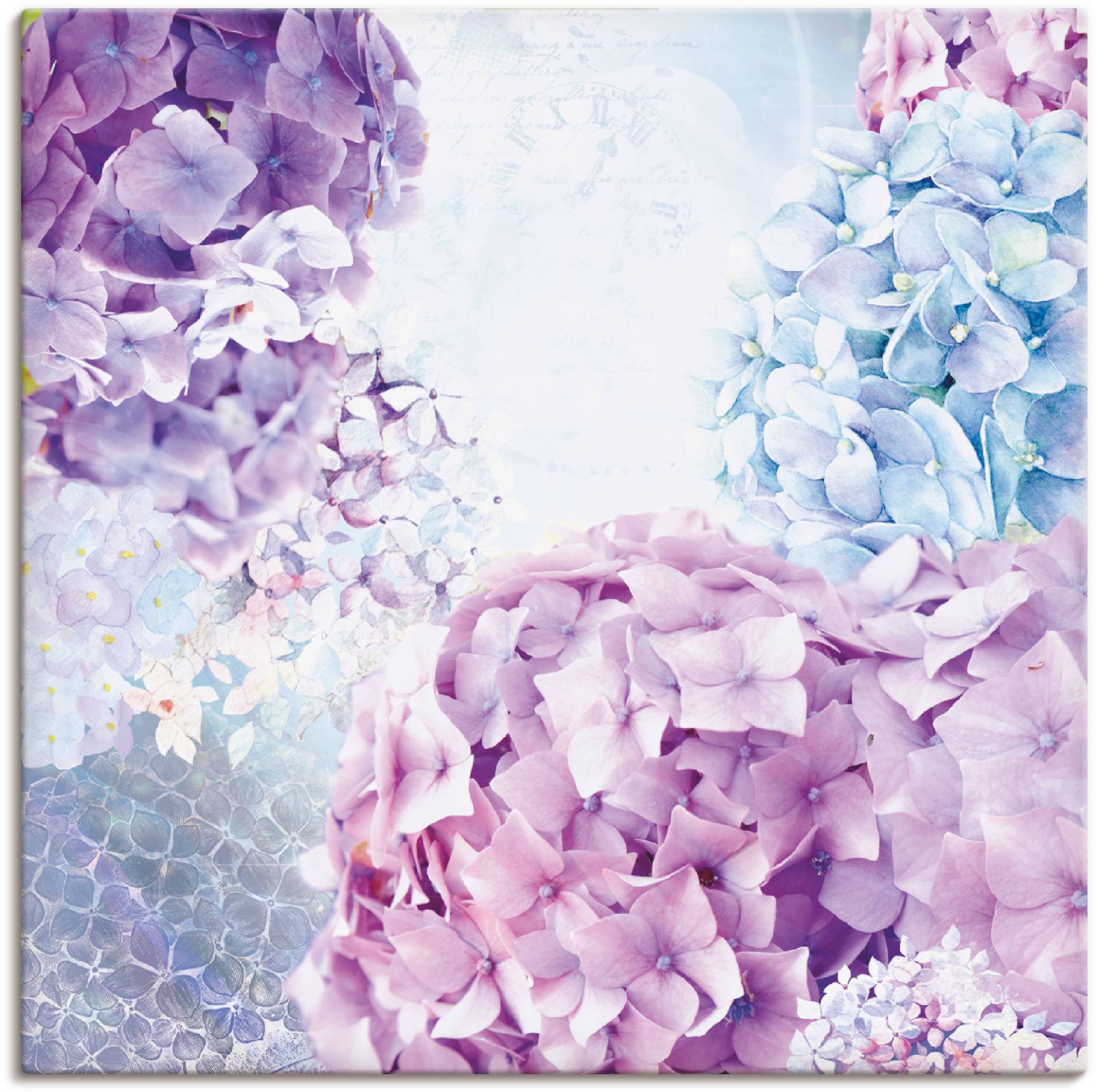 Artland Wandbild »Blau und Pink Hortensie«, Blumen, (1 St.), als Leinwandbild, Wandaufkleber in verschied. Grössen von Artland