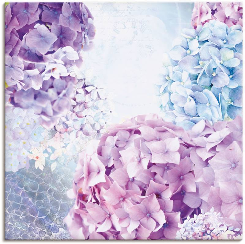 Artland Wandbild »Blau und Pink Hortensie«, Blumen, (1 St.), als Leinwandbild, Wandaufkleber in verschied. Grössen von Artland
