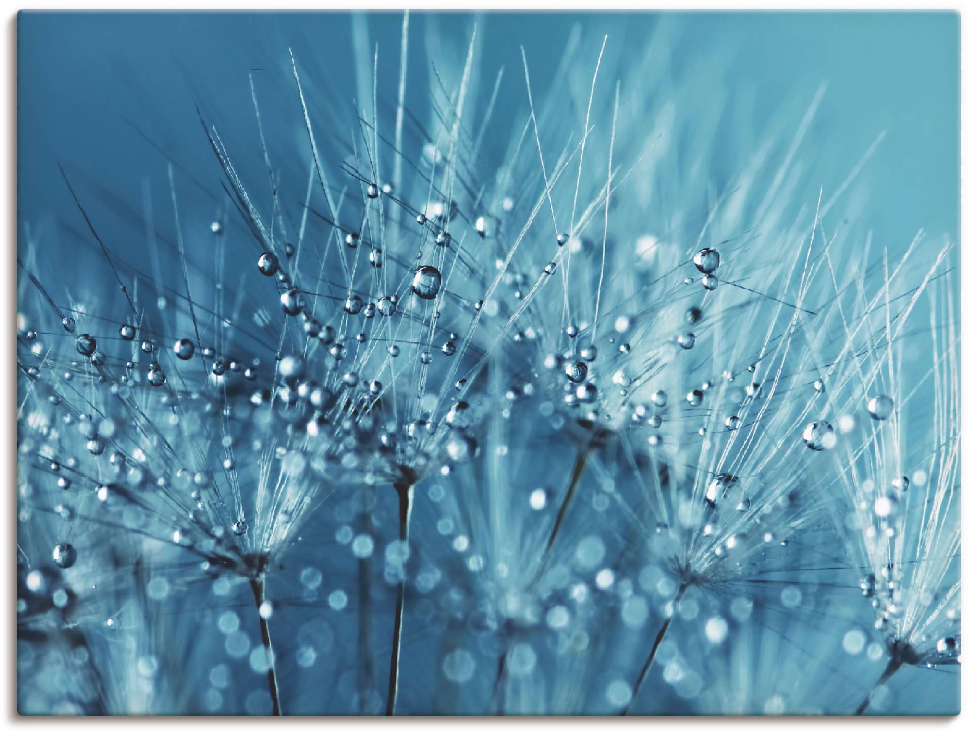 Artland Wandbild »Blaue glitzernde Pusteblume«, Blumen, (1 St.) von Artland