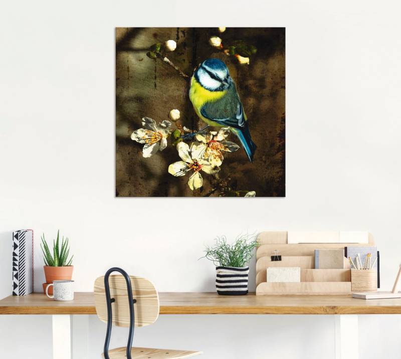 Artland Wandbild »Blaumeise auf Kirschzweig«, Vögel, (1 St.), als Alubild, Outdoorbild, Leinwandbild, Poster in verschied. Grössen von Artland