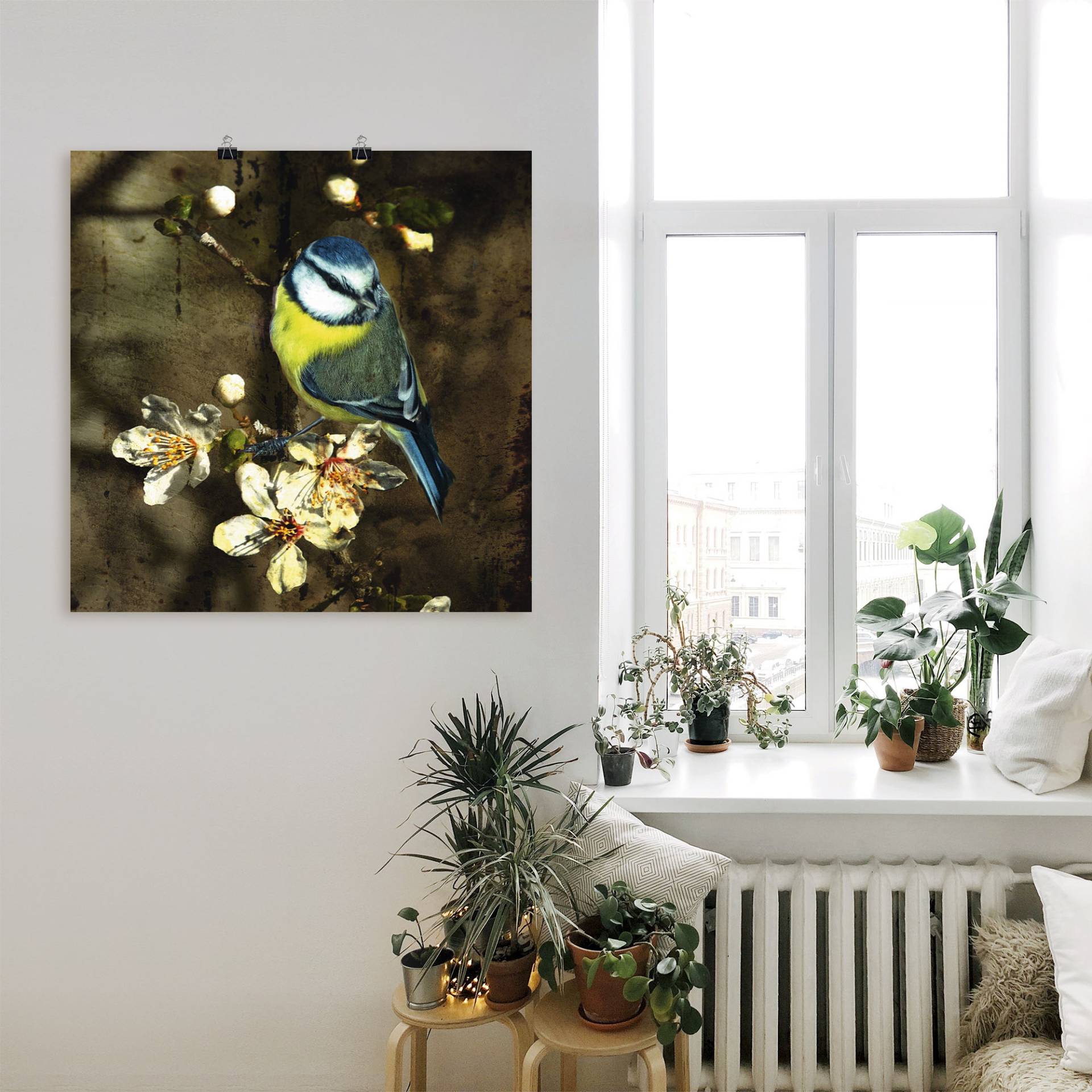 Artland Wandbild »Blaumeise auf Kirschzweig«, Vögel, (1 St.), als Alubild, Outdoorbild, Leinwandbild, Poster in verschied. Grössen Artland Wandbild »Blaumeise auf Kirschzweig«, Vögel, (1 St.), als Alubild, Outdoorbild, Leinwandbild, Poster in verschied. Grössen von Artland