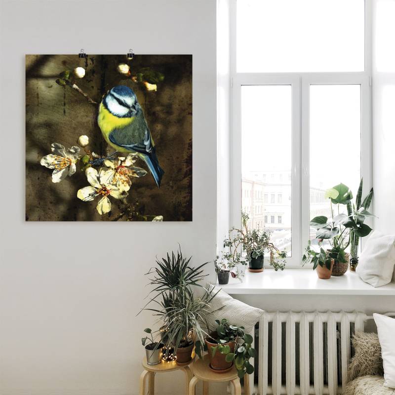Artland Wandbild »Blaumeise auf Kirschzweig«, Vögel, (1 St.), als Alubild, Outdoorbild, Leinwandbild, Poster in verschied. Grössen von Artland