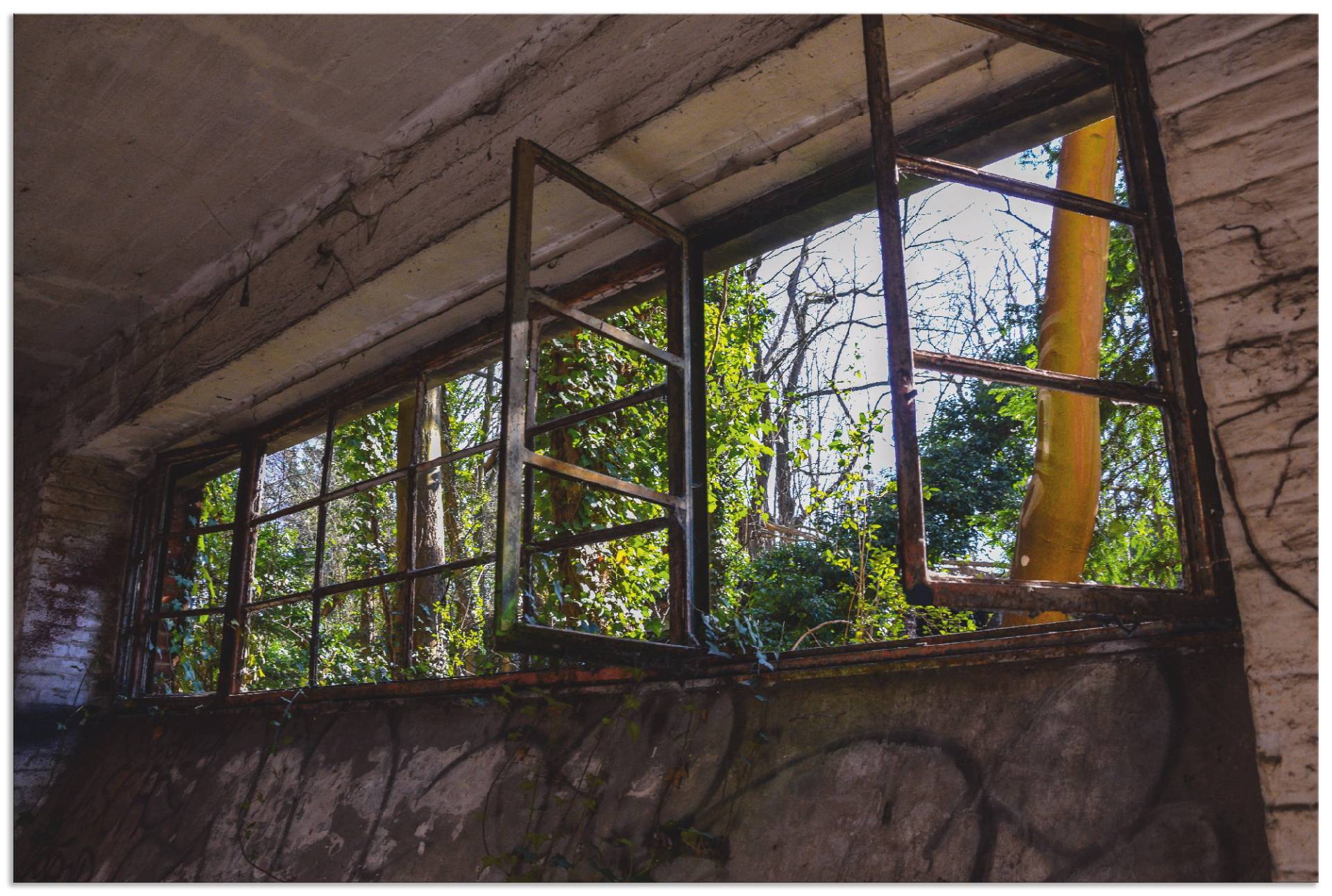 Artland Alu-Dibond-Druck »Blick ins Grüne«, Fenster & Türen, (1 St.) von Artland