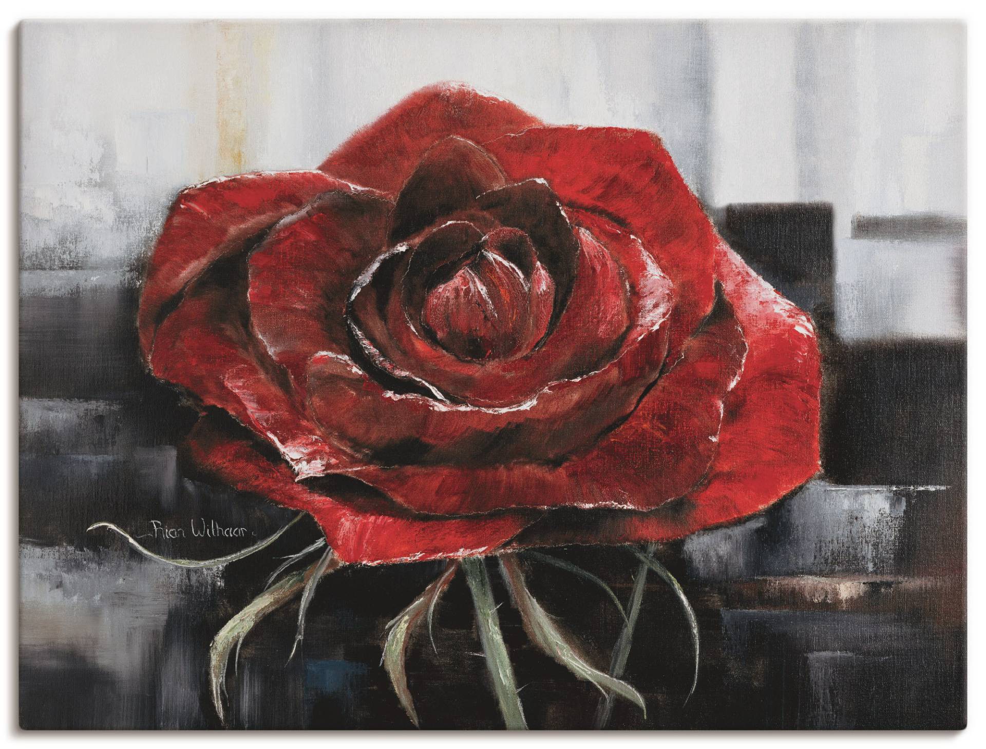 Artland Wandbild »Blühende rote Rose«, Blumen, (1 St.) von Artland