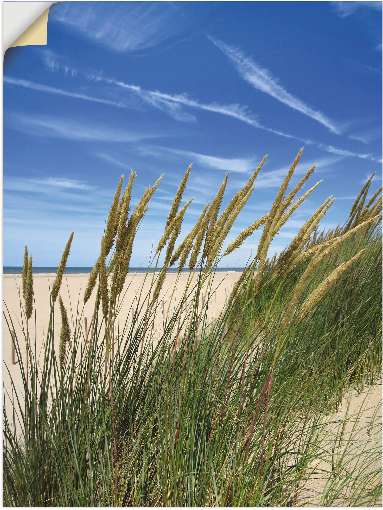 Artland Wandbild »Blühendes Strandgras«, Strand, (1 St.) von Artland