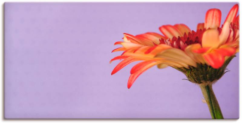 Artland Wandbild »Blume«, Blumen, (1 St.), als Leinwandbild, Wandaufkleber oder Poster in versch. Grössen von Artland