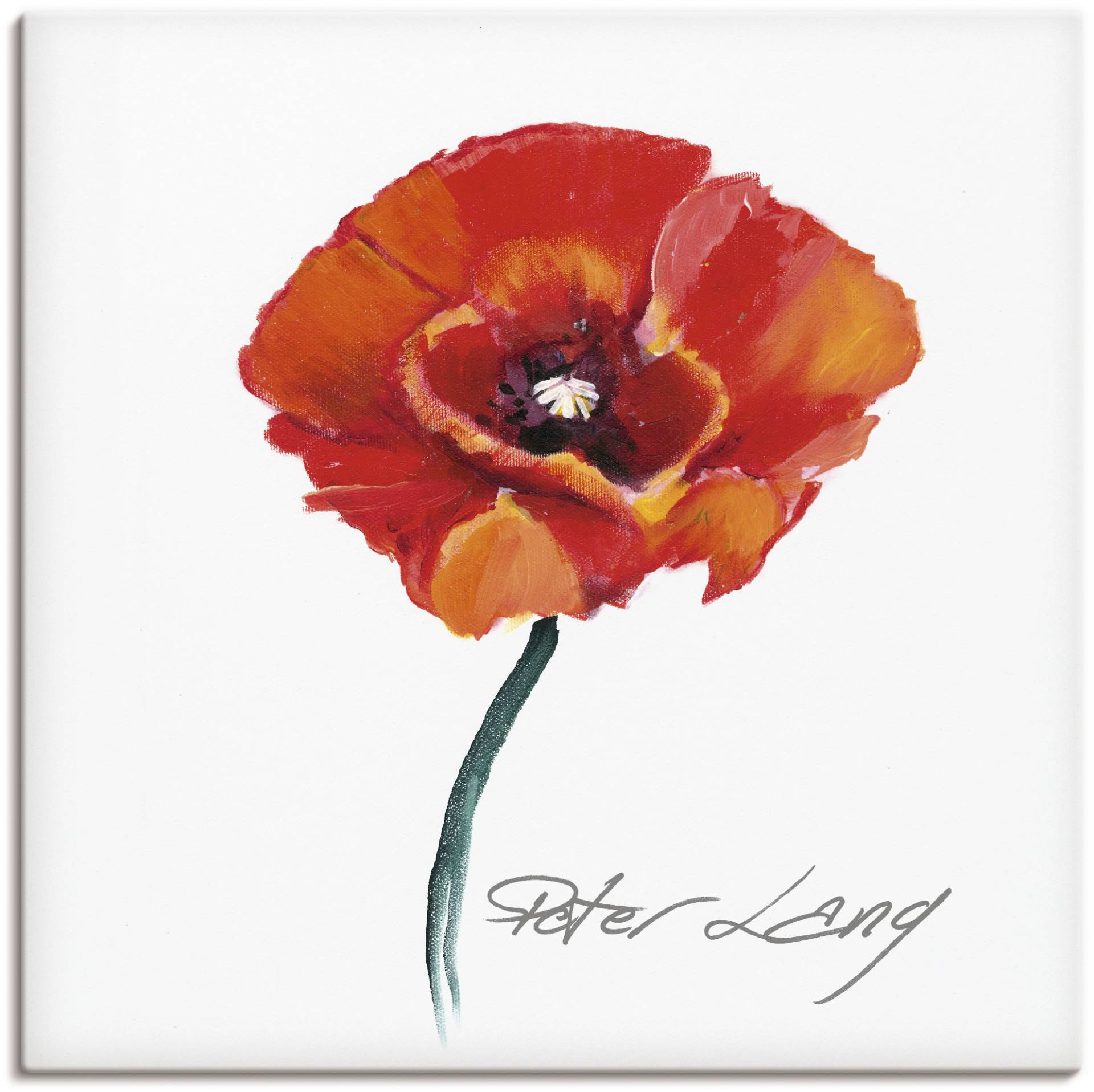 Artland Wandbild »Blume_weiss III«, Blumen, (1 St.), als Leinwandbild, Poster in verschied. Grössen von Artland