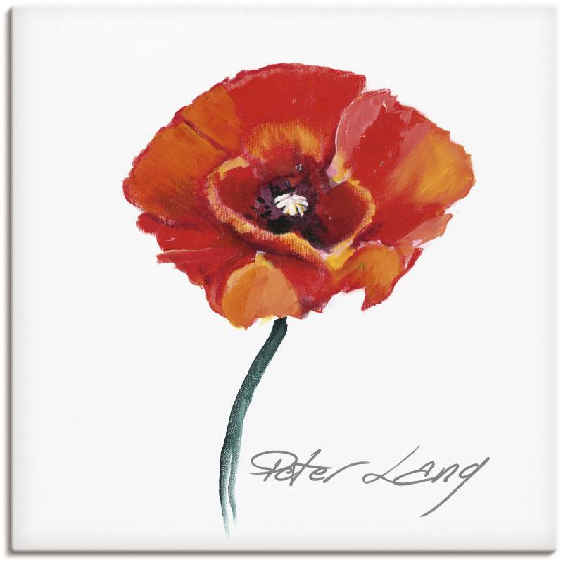 Artland Wandbild »Blume_weiss III«, Blumen, (1 St.), als Leinwandbild, Poster in verschied. Grössen von Artland