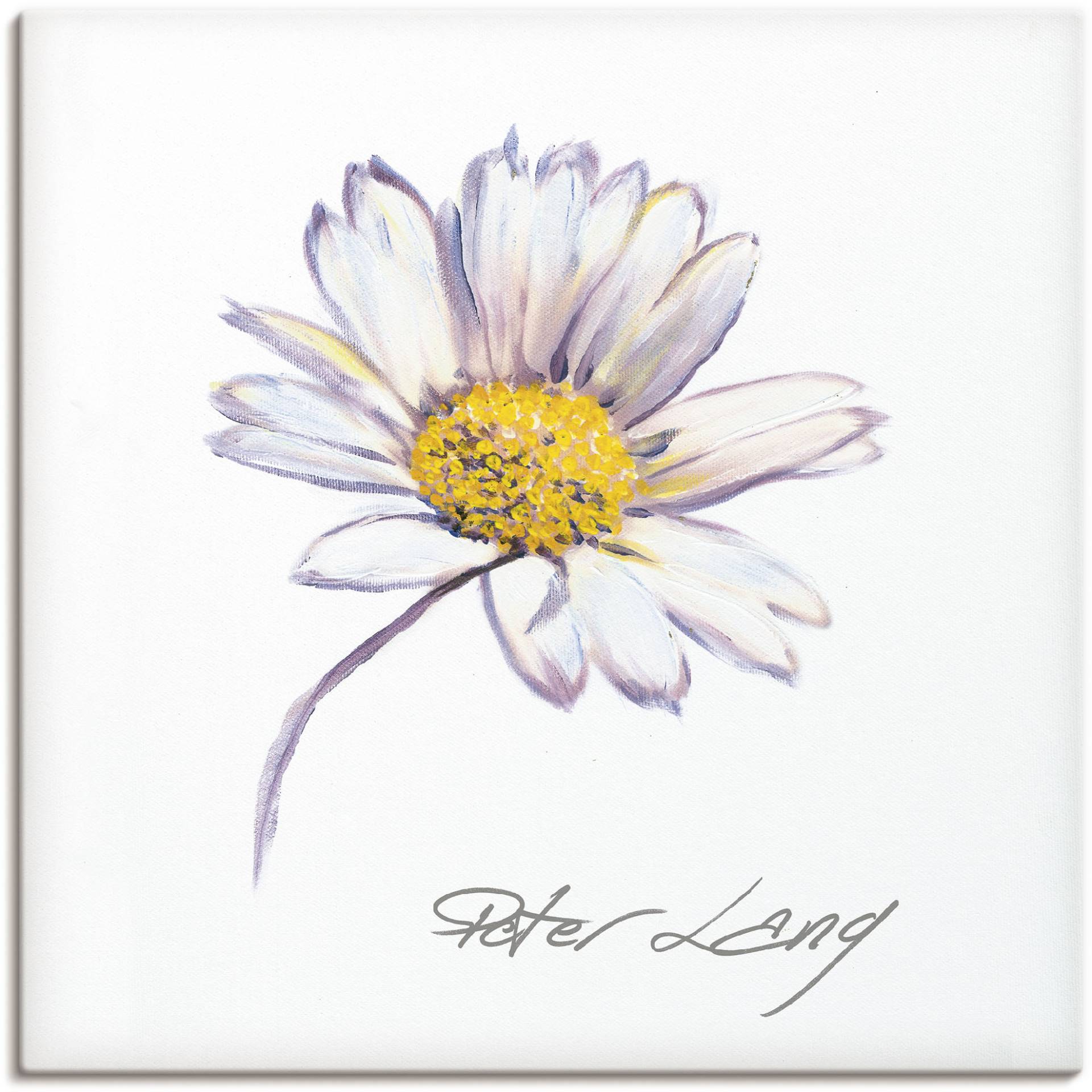 Artland Leinwandbild »Blume_weiss V«, Blumenbilder, (1 St.), auf Keilrahmen gespannt von Artland