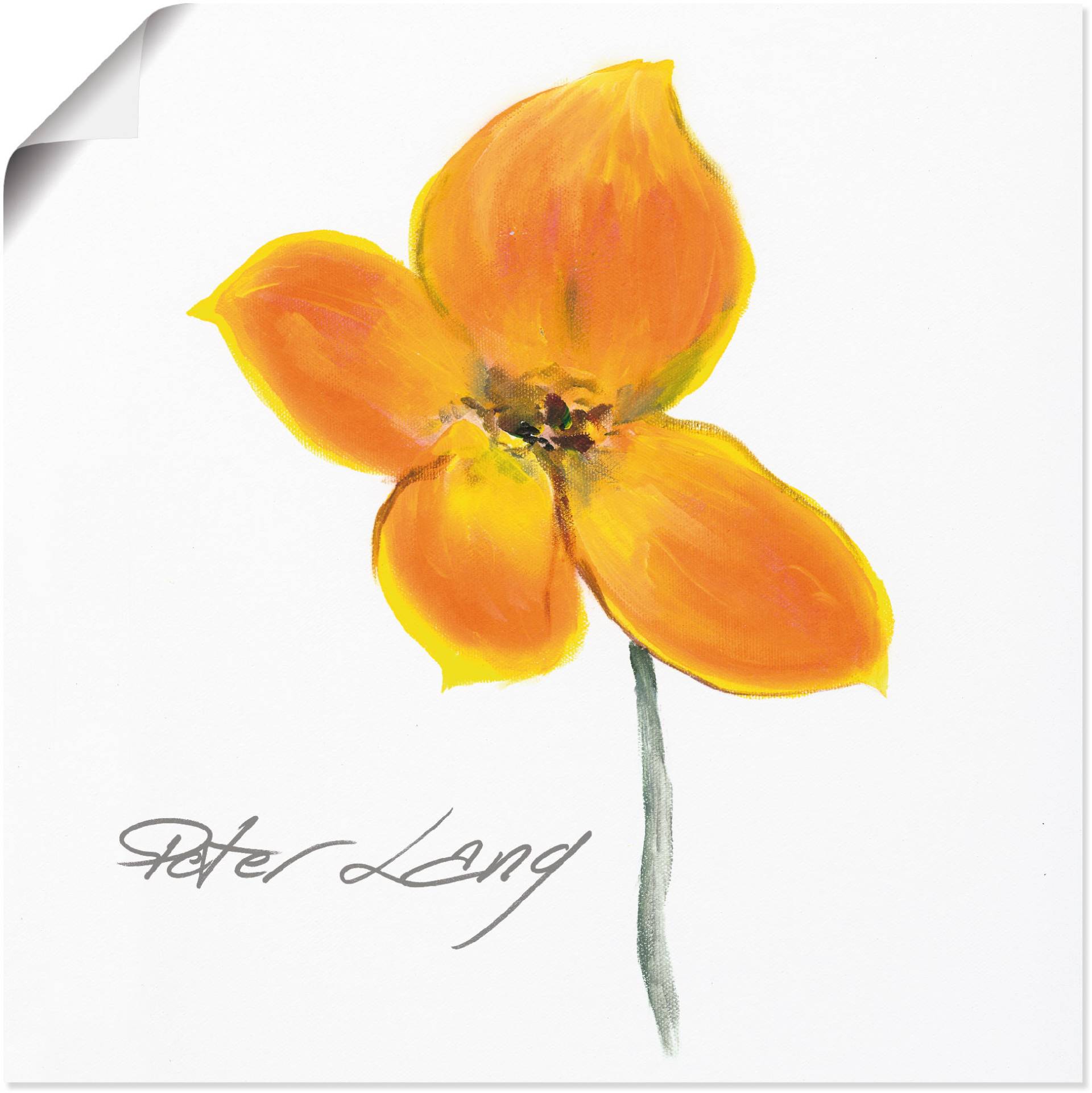 Artland Wandbild »Blume_weiss VI«, Blumen, (1 St.), als Leinwandbild, Poster in verschied. Grössen Artland Wandbild »Blume_weiss VI«, Blumen, (1 St.), als Leinwandbild, Poster in verschied. Grössen von Artland