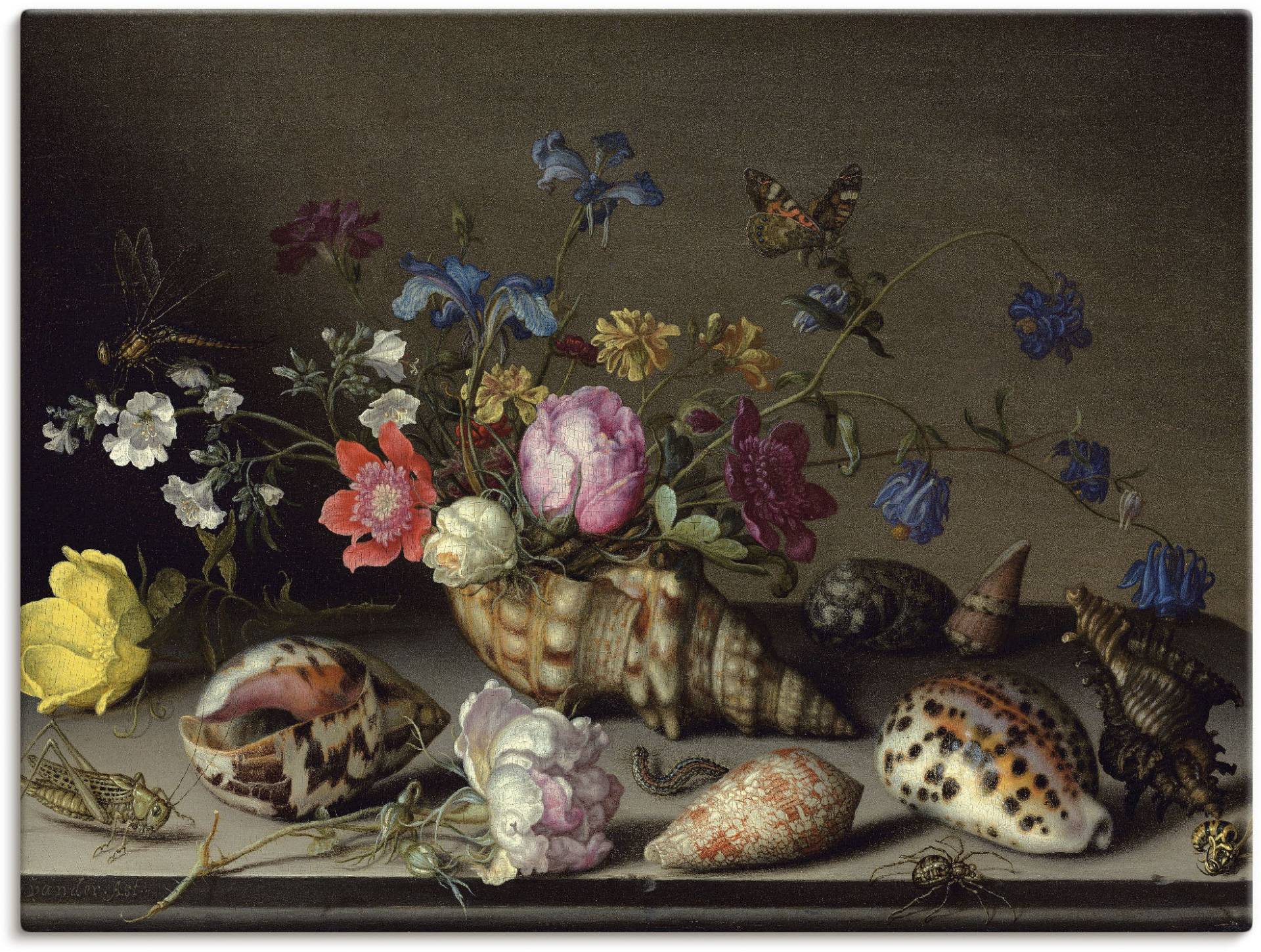 Artland Leinwandbild »Blumen, Muscheln und Insekten«, Arrangements, (1 St.) von Artland