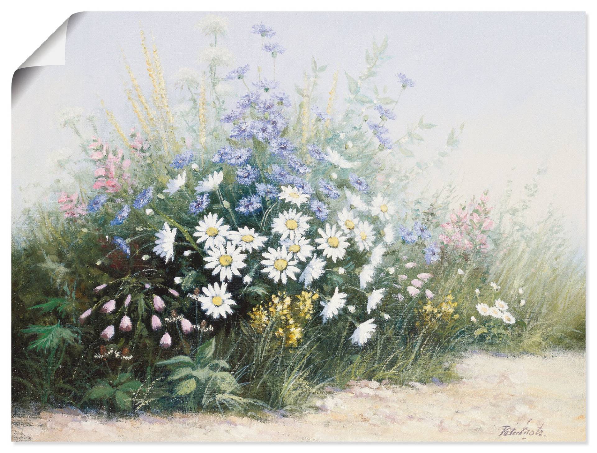 Artland Wandbild »Blumen Serenade«, Blumen, (1 St.), als Poster in verschied. Grössen Artland Wandbild »Blumen Serenade«, Blumen, (1 St.), als Poster in verschied. Grössen von Artland