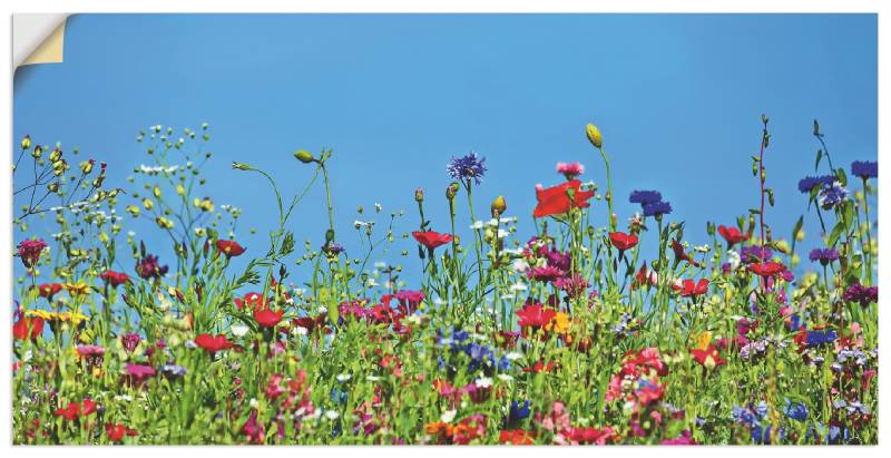 Artland Wandbild »Blumenwiese II«, Blumenwiese, (1 St.), als Leinwandbild, Wandaufkleber in verschied. Grössen von Artland