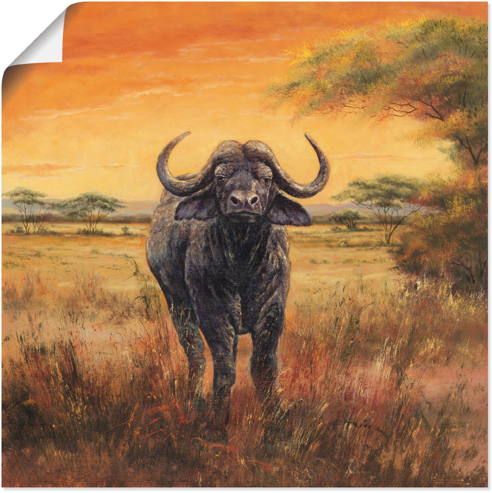 Artland Wandbild »Büffel«, Wildtiere, (1 St.), als Poster, Wandaufkleber in verschied. Grössen Artland Wandbild »Büffel«, Wildtiere, (1 St.), als Poster, Wandaufkleber in verschied. Grössen von Artland