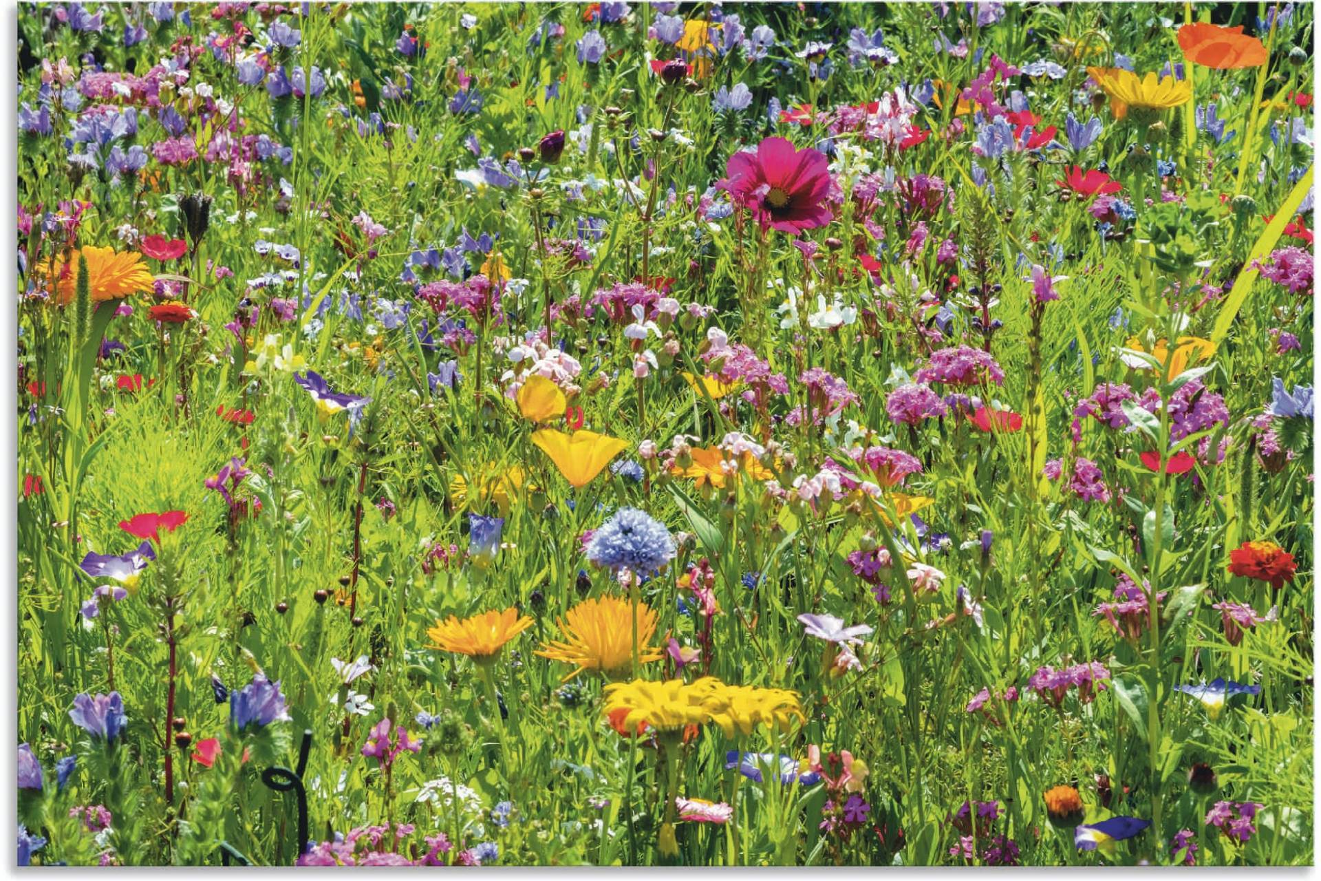 Artland Wandbild »Bunte Blumenwiese«, Blumenwiese, (1 St.) von Artland