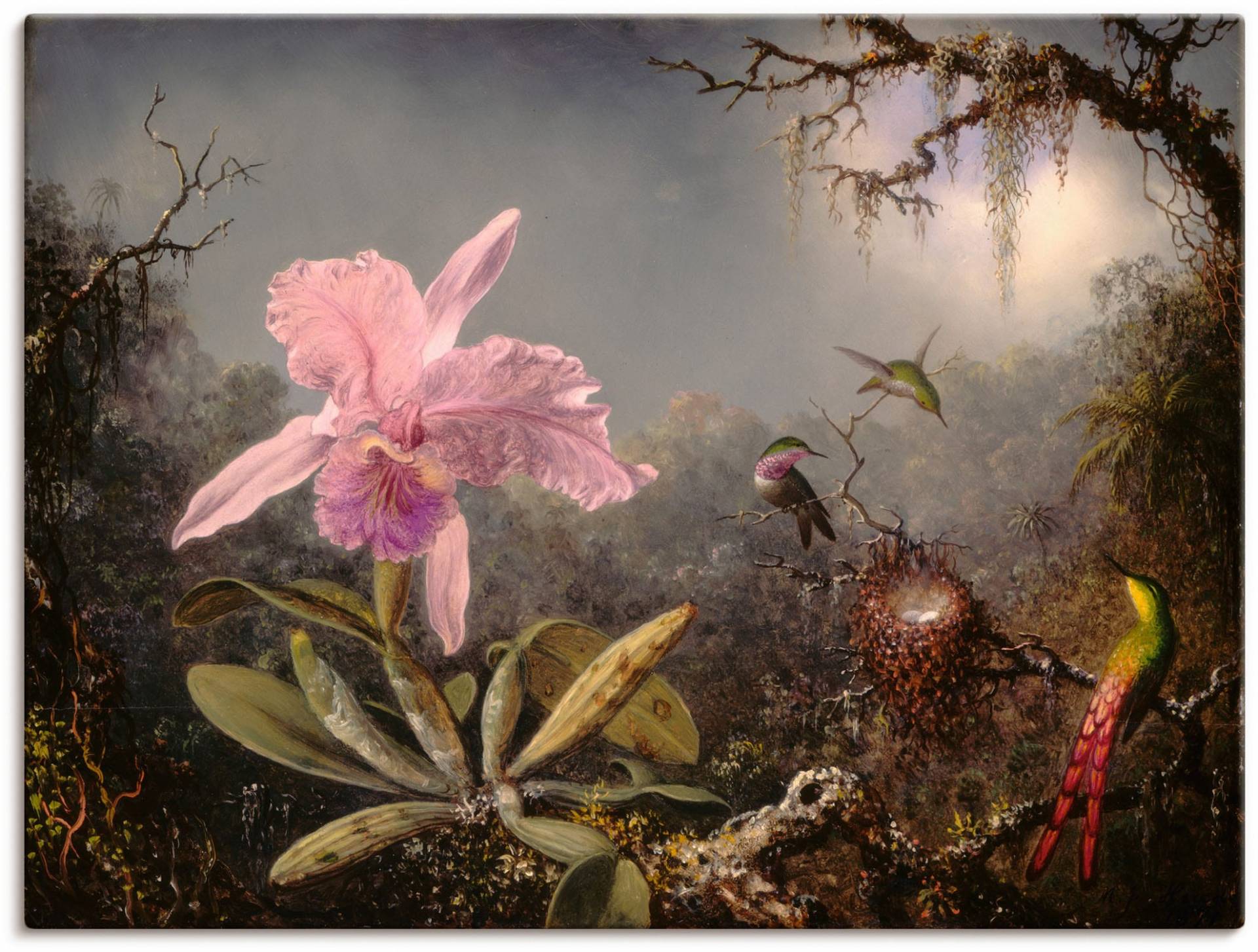 Artland Wandbild »Cattleya Orchidee und drei Kolibris.«, Blumenbilder, (1 St.), als Leinwandbild, Poster in verschied. Grössen von Artland